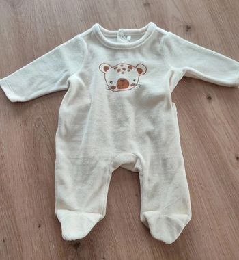 Pyjama Orchestra naissance