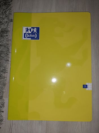 Lot 6 Grands Cahiers 24x32 NEUFS (Clairefontaine / Oxford)