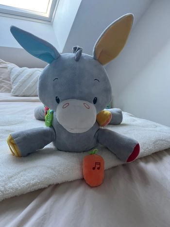 Peluche d activité Âne