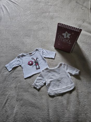 Lot de 2 pulls fille 1 mois