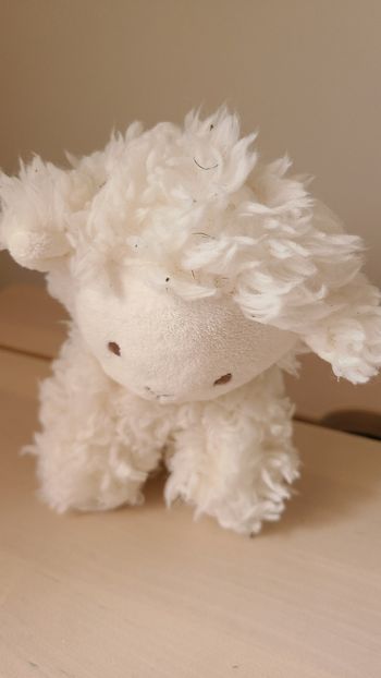 Doudou mouton