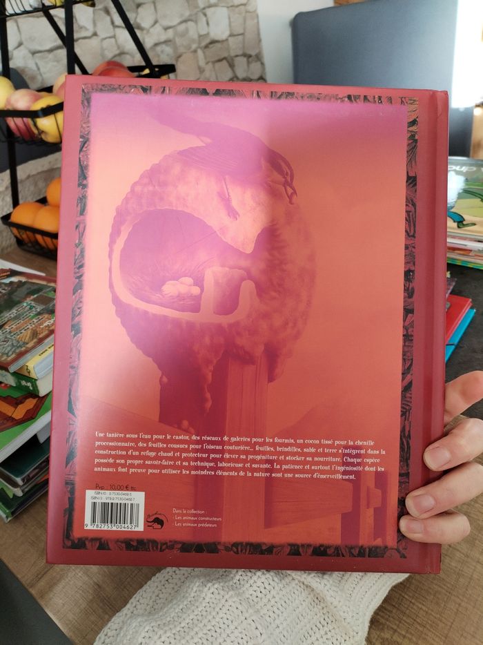 Livre doc enfant - photo numéro 2