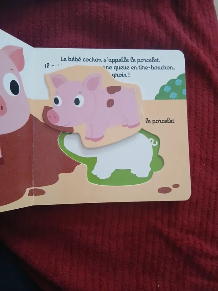 Lot de 2 livres Kididoc les bébés animaux 📚🐈 - photo numéro 4