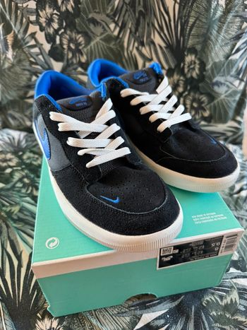 Nike SB force 58