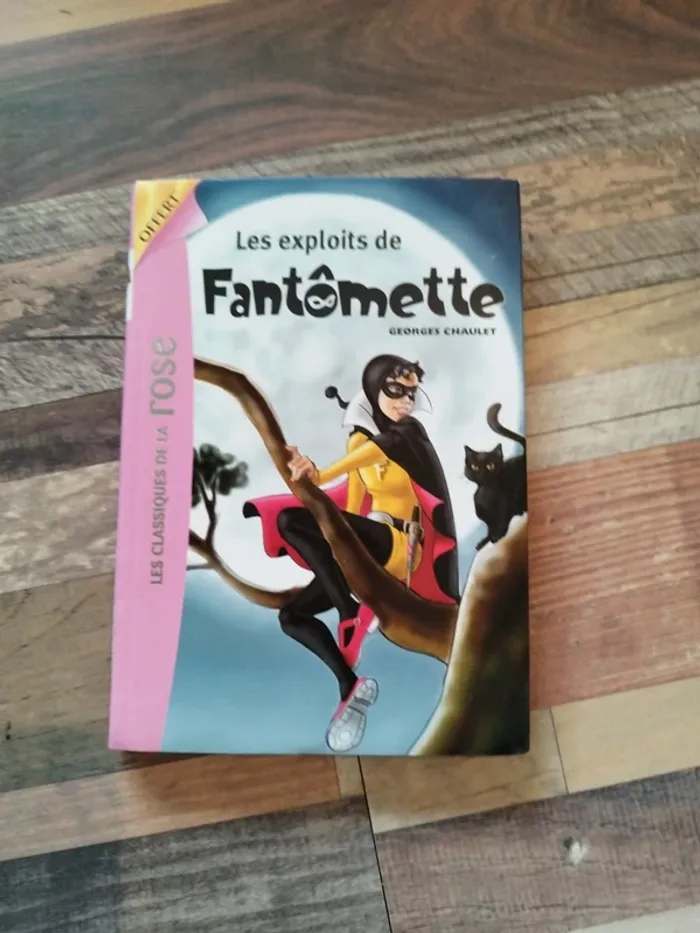 LIVRE "Les exploits de Fantômette"
