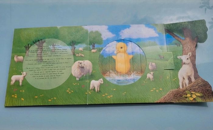 Superbe livre animé de fenêtres magiques, Il pleut petit canard.. Quatre fleuve - photo numéro 6