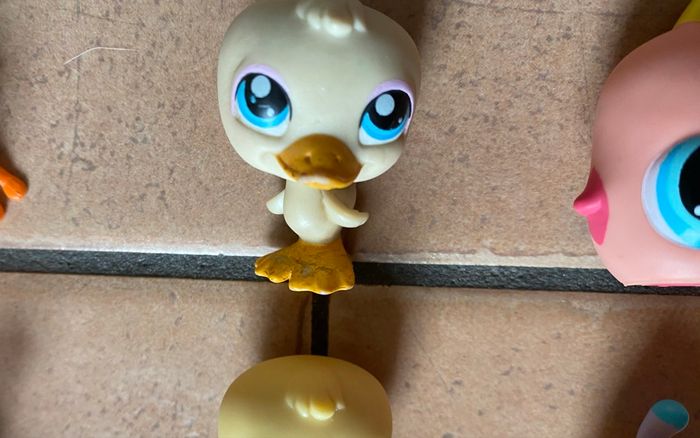 Lot PetShop - photo numéro 5