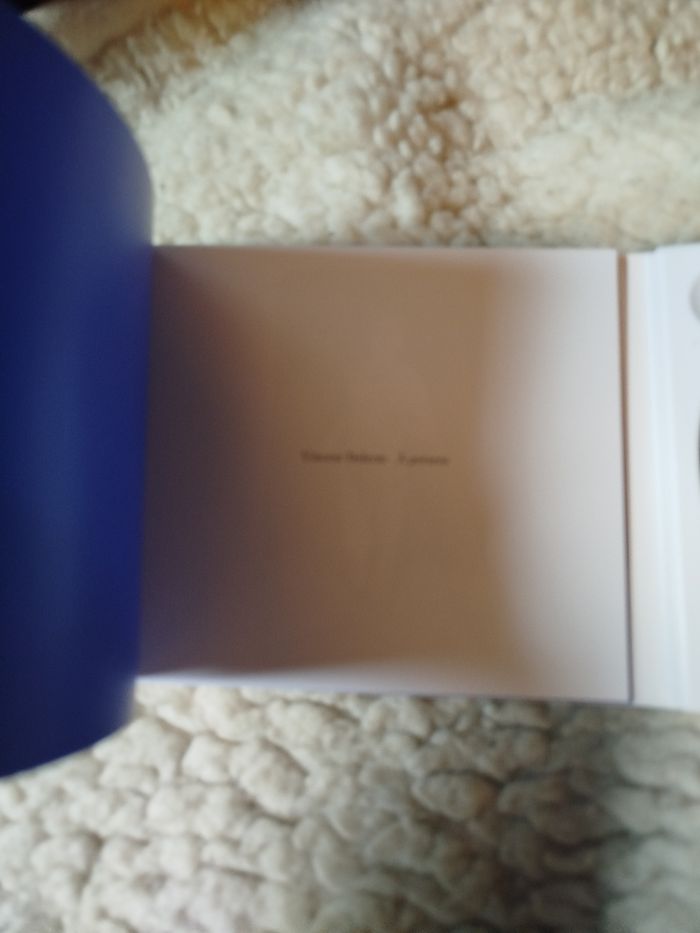 CD Vincent delerm à présent - photo numéro 5