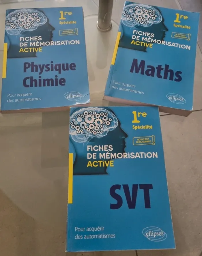 Fiches de mémorisation active 1ère