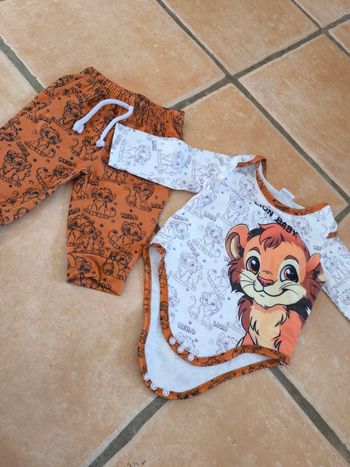 Ensemble lion