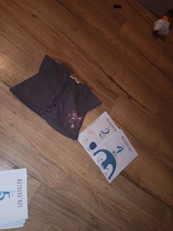 Cache cœur 24 mois papillon