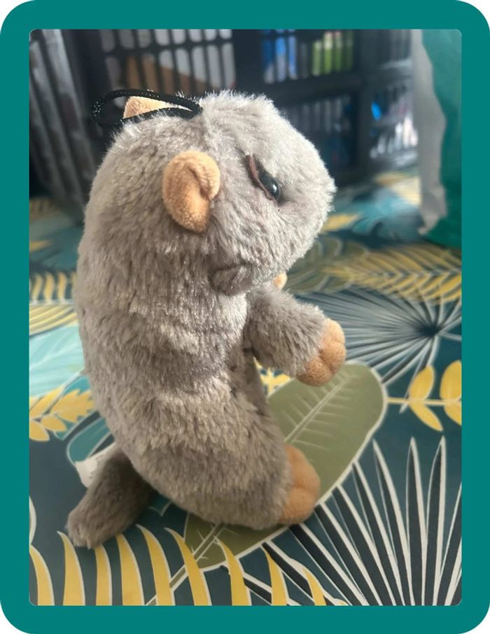 Marmotte qui chante, musique enfant neige - photo numéro 4