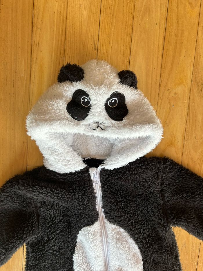 Combipilote panda - photo numéro 2