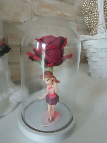 Décoration rose sous cloche