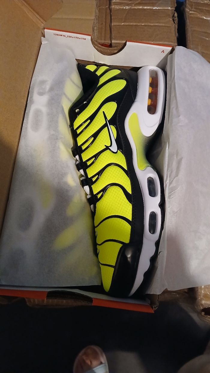 Basket tn - photo numéro 9