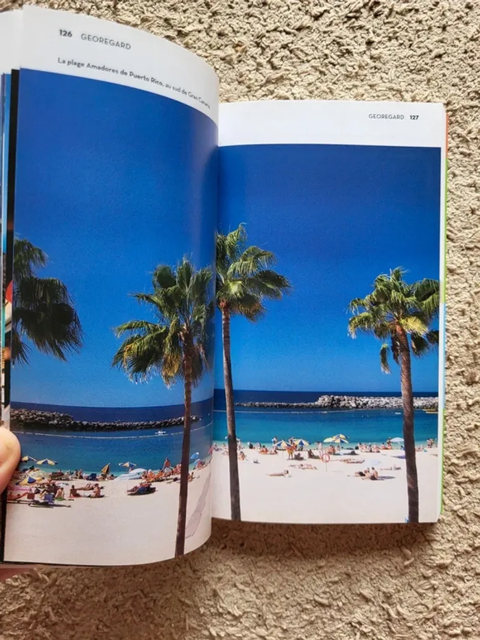 Livre de voyage Geoguide Les Canaries - photo numéro 10