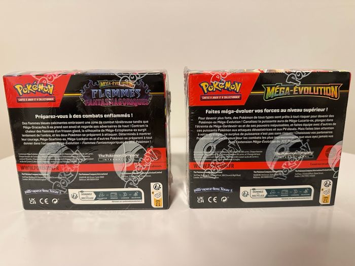 Display Pokémon mega évolution et flammes fant - photo numéro 2