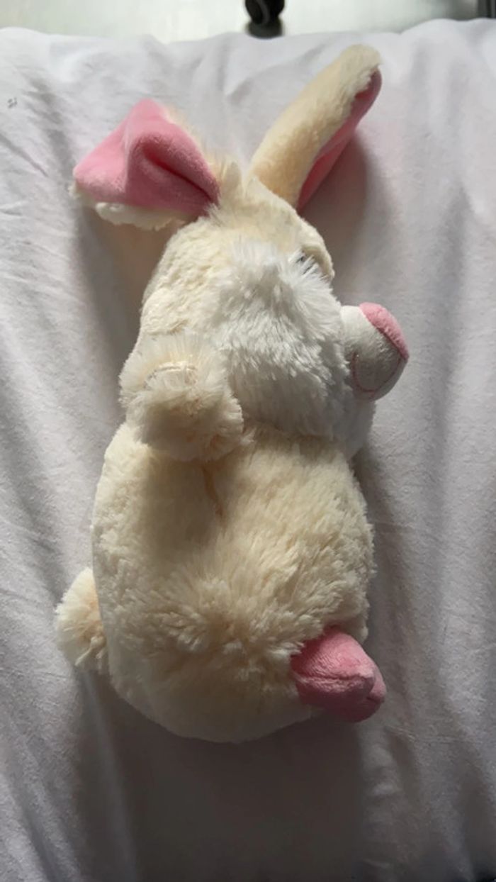 Doudou lapin - photo numéro 2