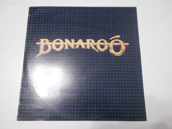 bonaroo : life's sweet song