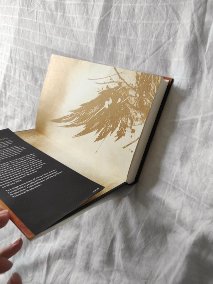 Harry Potter and the cursed Child - photo numéro 2