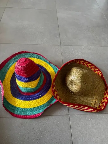 Lot de 2 chapeaux neuf et très bon état, taille unique