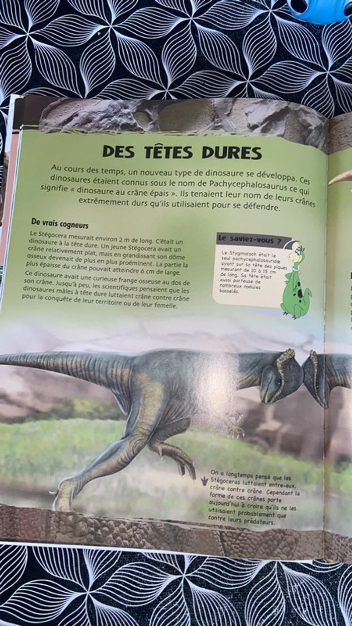 Livre Découvre les dinosaures - photo numéro 5