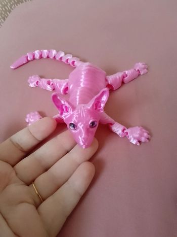 Chat sphinx articulé