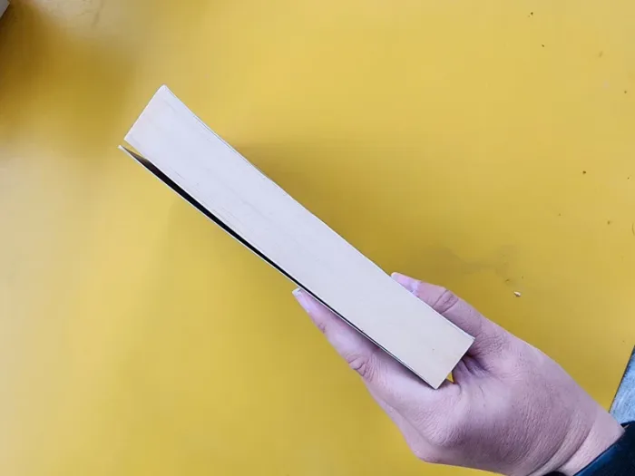 Livre de poche "miséricorde" de Jussi Adler-Olsen - photo numéro 5