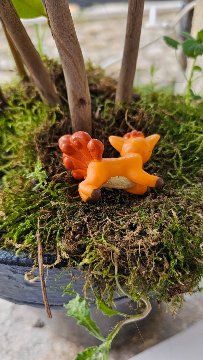 Super figurine Pokemon Nintendo Goupix - photo numéro 2