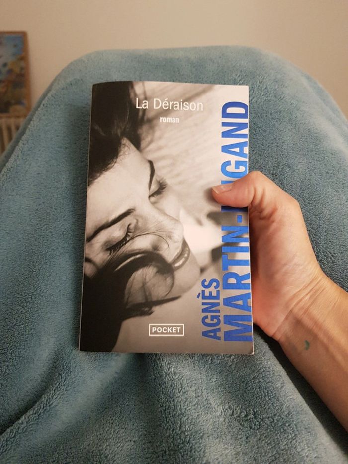 la deraison - Agnès Martin-Lugand - photo numéro 4