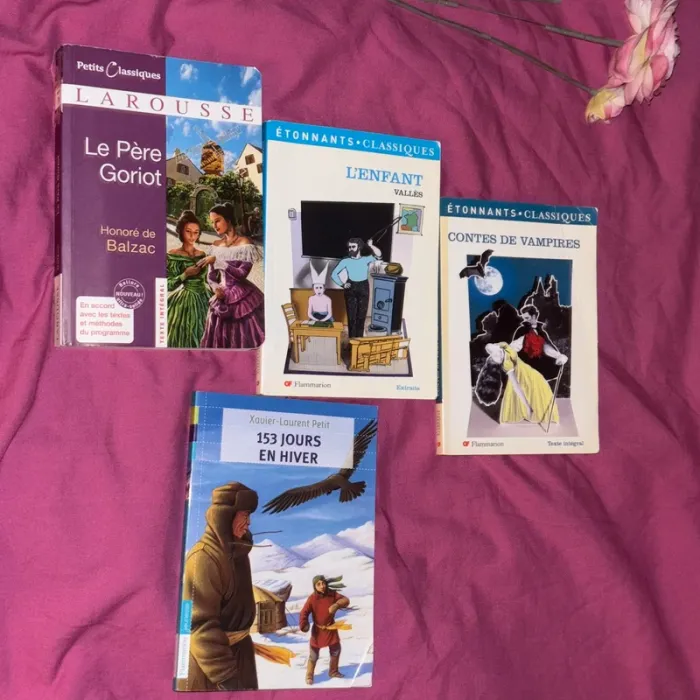 Lot livre