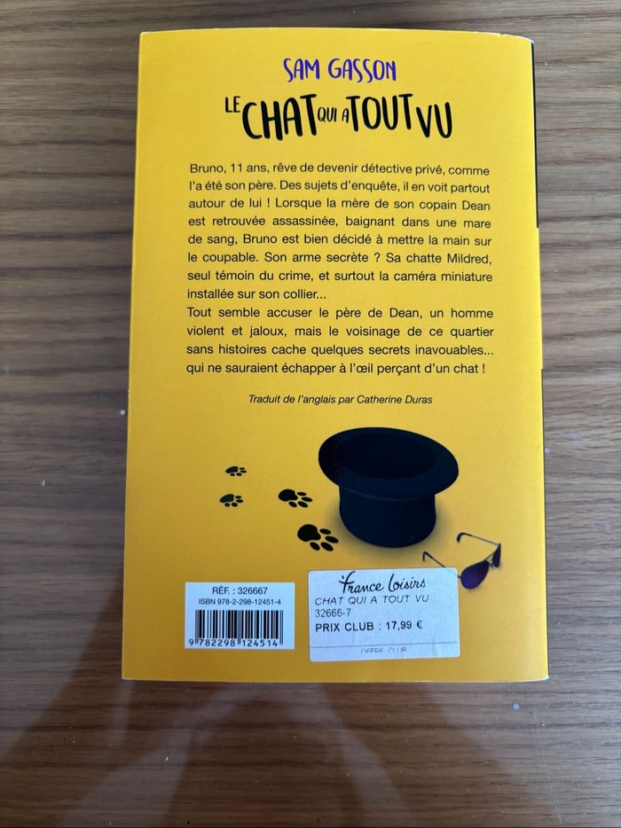 Roman Le chat qui a tout vu - photo numéro 2