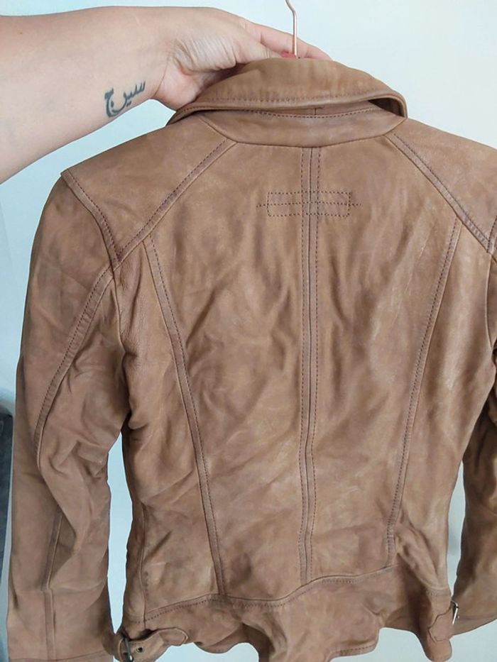 Perfecto Oakwood - photo numéro 5