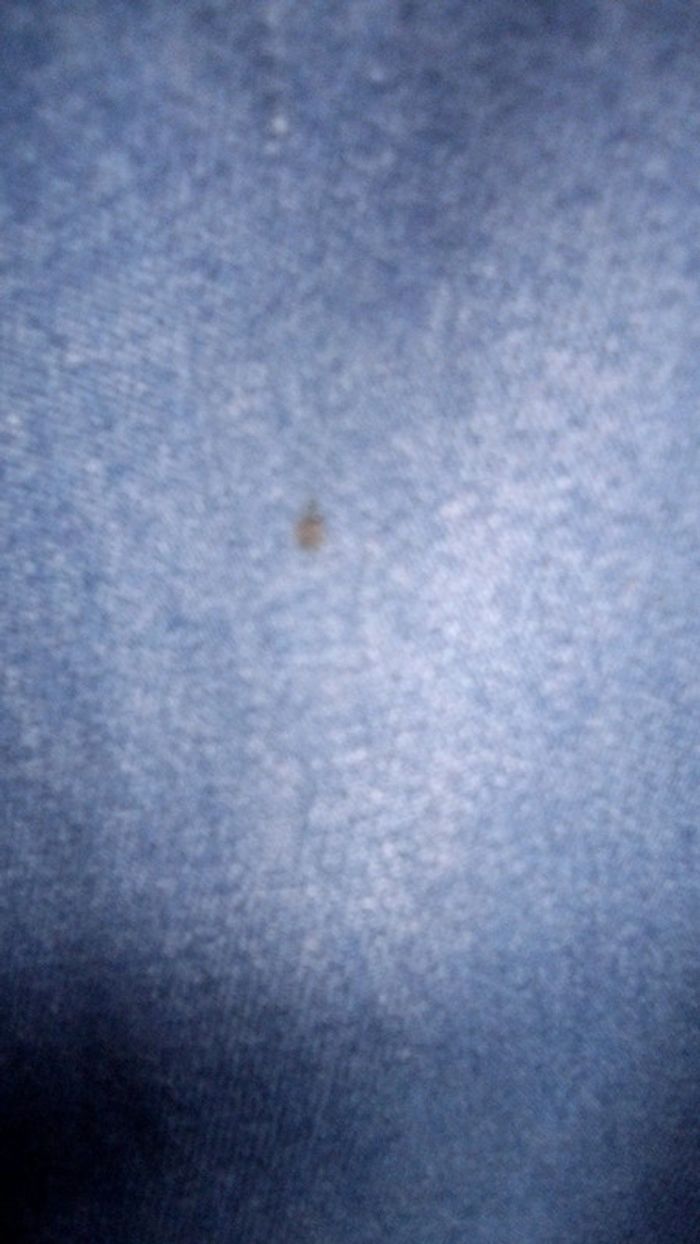 Jean "in extenso" 10 ans - photo numéro 8