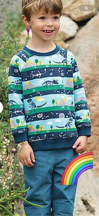 Pull sweat de la marque Frugi modèle Rex Jumper coloris Dig Up a Dino frugi Sweatshirt  taille 9/10 ans porté 1 voire 2 fois Neuf encore dans son emballage d’origine   Rex Jumper, Dig Up a Dino frugi
