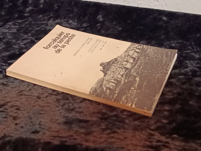 Forcalquier au temps de la peste - photo numéro 8