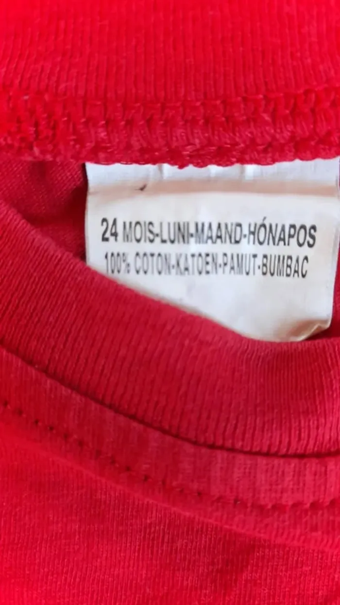 Tee-shirt MC 24 mois - photo numéro 2