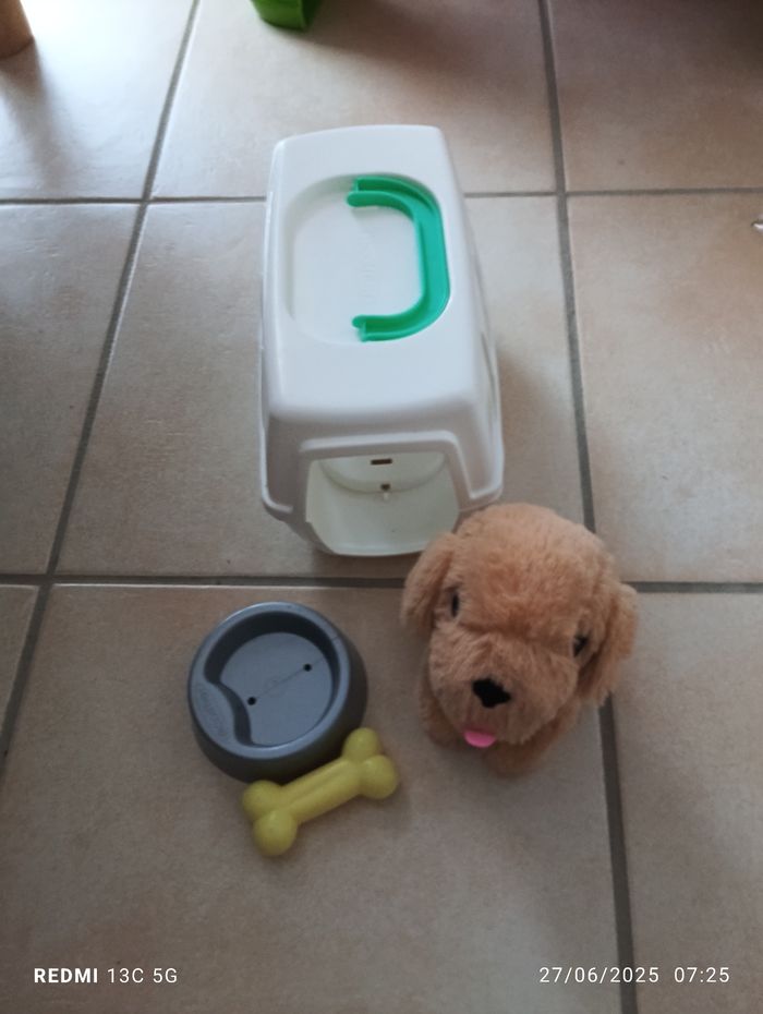 Chien et caisse de transport