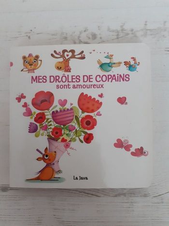 Livre Mes drôles de copains sont amoureux