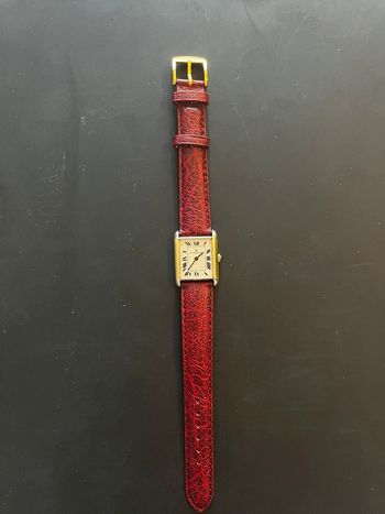 Montre Richards Zeger