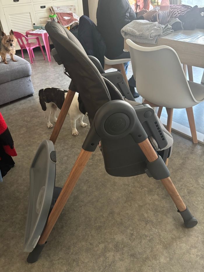 Maxi-Cosi Minla Chaise Haute Bébé Evolutive, 0 - 14 ans, - photo numéro 2
