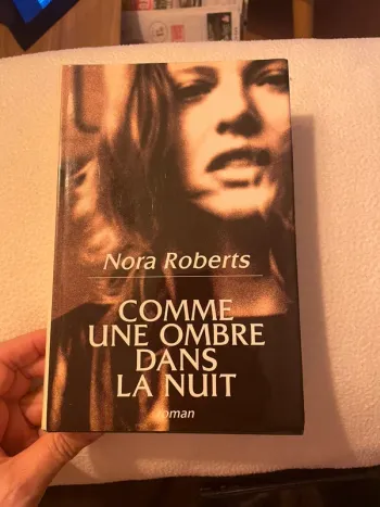 Comme une ombre dans la nuit
