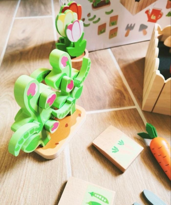 Mon premier potager - photo numéro 2