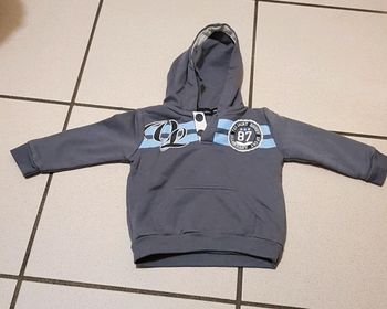 Sweet à capuche garçon 9 mois.