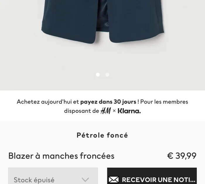 Blazer - photo numéro 5