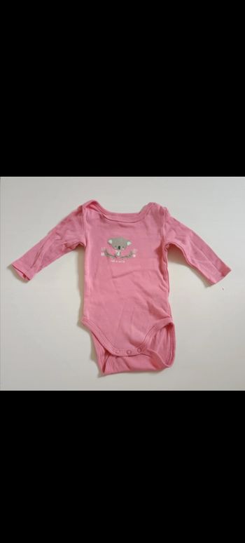 Bodie rose koala
