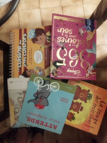 Lot de livres