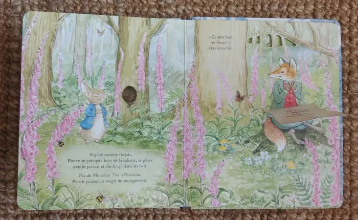 Cours vite, Pierre lapin! (2018) adapté des contes de Beatrix Potter - photo numéro 6