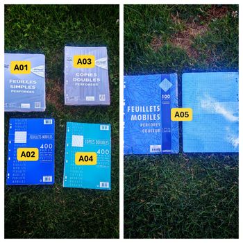 Fournitures scolaires – feuilles/copies (simples, doubles et bleues)