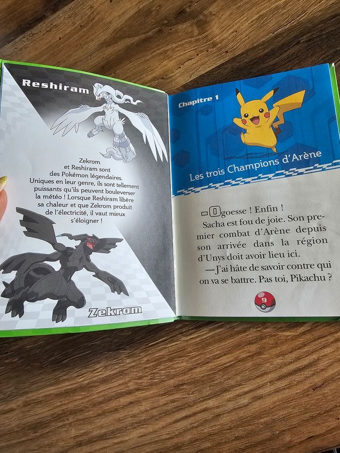 Livre pokemon - photo numéro 2